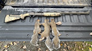 Opening Day Squirrel Hunt [upl. by Placido]