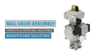 Festo Ball Valve Assembly Benefits and Solutions [upl. by Nahshon653]