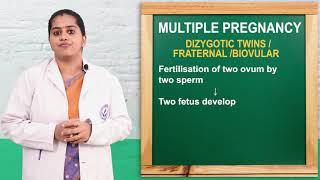 Nursing Course I Multiple Pregnancy I Types Causes and Risk Factors ANM and BSc [upl. by Animaj]