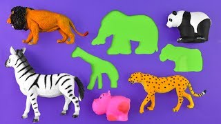 Learning Zoo Animals and Sea Animal Names For Kids Educational Fun Video For Kids [upl. by Ahsoik]