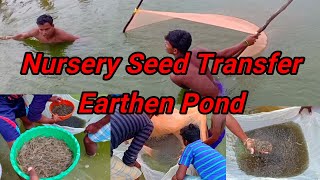 Vannamei Shrimp Seed Transfer from Earthen Pond [upl. by Ahseret256]