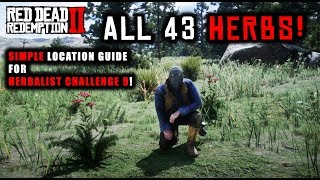 Red Dead Redemption 2  How To Find All 43 Herbs Flowers Orchids SIMPLE Location Guide [upl. by Hgielek]