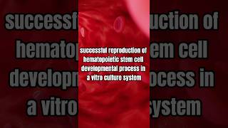 Breakthrough in Regenerative Medicine Reproducing Hematopoietic Stem Cells [upl. by Gerg95]