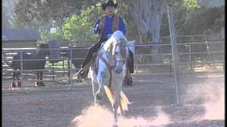 MI CABALLO ENSILLADOEL PUMA DE SINALOA [upl. by Aehtna387]