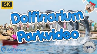 Dolfinarium Parkvideo 5K 60fps [upl. by Lurette]