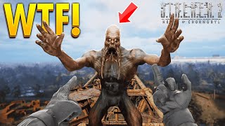 STALKER 2  TOP 100 WTF amp FUNNY Moments 4 [upl. by Tyrone]