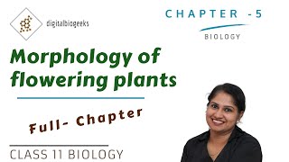 Morphology of Flowering Plants  Class 11 Biology [upl. by Aradnahc709]