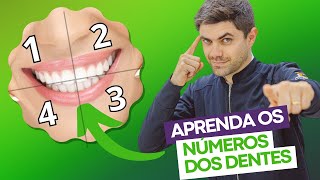 NÚMEROS DOS DENTES  ASB TOTAL [upl. by Kathye]