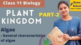 Plant Kingdom Class 11 Biology  Algae  Part2 [upl. by Ylloj]