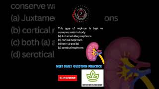 Kidney functionExcretion and Osmoregulationneet daily practice questions [upl. by Ecnal]