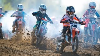 Les français CHAMPIONS DU MONDE de MOTOCROSS  Motocross des Nations [upl. by Rollet]