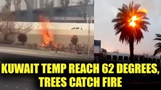 Kuwait witness 62 degrees Celsius temperature Trees and bushes catch fire Watch  Oneindia News [upl. by Asirb]