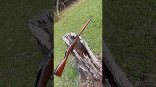 Introduction The Mosin Nagant aka The three line rifle [upl. by Donahoe399]