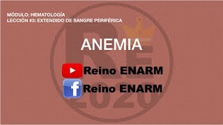 HEMATOLOGÍA 3 EXTENDIDO FROTIS DE SANGRE PERIFÉRICA [upl. by Aziram]