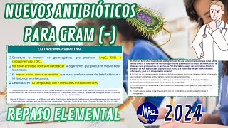 RM 24 Antimicrobianos Nuevos antibióticos para Gram  Est M Y C [upl. by Borchers992]