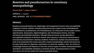 29 Rosettes and pseudorosettes in veterinary neuropathology [upl. by Sonny]