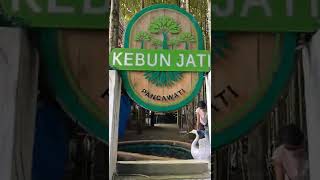 Kebon jati Pancawati Part1 [upl. by Pierrepont]