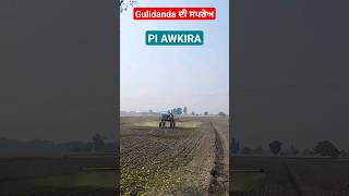 Gulidanda ਦੀ ਸਪਰੇਅ  PI AWKIRA  wheat herbicide spray [upl. by Ruiz]