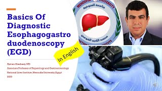 In English Basics Of Diagnostic Esophagogastroduodenoscopy EGD [upl. by Ahsinawt]