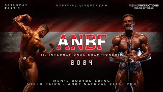 🇦🇹 ANBF 2024  Natural Elite Pro  Mens Bodybuilding  Mixed Pairs [upl. by Guerra]