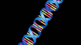 DNA Chromosomes and Genes [upl. by Kcyred]