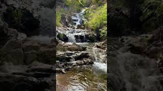 Waterfalls are full flow at local trails in Socal March 2024 [upl. by Quent]