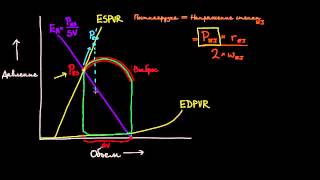 quotАртериальная эластичность Ea и постнагрузкаquot [upl. by Massimiliano]