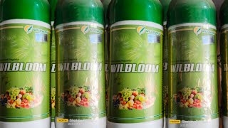 Gibberellic acid WILBLOOM plant growth regulator pgt willowood [upl. by Atinaw]