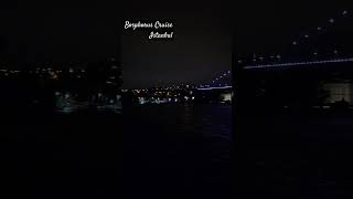 Bosphorus Cruise Istanbul Bosphorus Istanbul Cruise Turkey explore travel vlog youtubeshorts [upl. by Ilak]