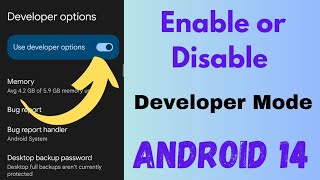 How to Enable or Disable Developer Mode in Android 14  Find Hidden Developer Option [upl. by Yevoc]