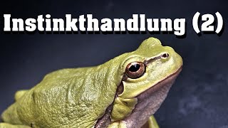 Instinkthandlung 2  Doppelte Quantifizierung [upl. by Goddord]