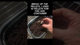 HOW TO Start watercress seeds Home Part 1 Hydroponics [upl. by Wes]