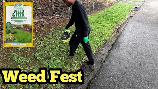 How To Eliminate Weeds Using Weed amp Feed Fertilizer [upl. by Eenerb967]