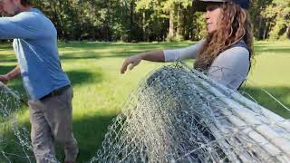 Time to move the LAYERS Ready for new grass and BUGS [upl. by Brenda]