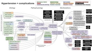 Hypertension and complications mechanism of disease [upl. by Sutniuq]