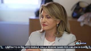 Contratto di sviluppo rurale dalla Regione bandi per 8 milioni di euro [upl. by Becki]