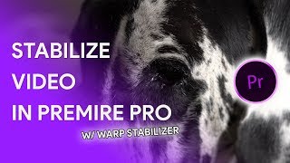 Stabilize Video in Premiere Pro CC 2018 [upl. by Nigrom253]