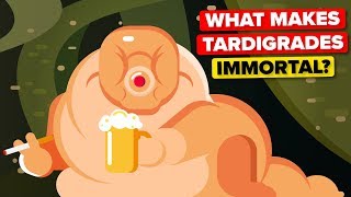 What Makes Tardigrades Immortal [upl. by Riggs]