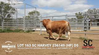 163 SC HARVEY 236149 HP D5 [upl. by Nesyrb]