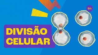 Entenda a DIVISÃO CELULAR  Mitose e Meiose [upl. by Saitam615]