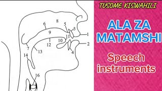 ALA ZA MATAMSHI  SWAHILI SPEECH INSTRUMENTS [upl. by Atal174]