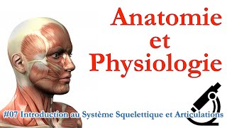 Anatomie et Physiologie 07 Introduction au Système Squelettique et Articulations [upl. by Standley]