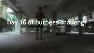 31 Days of burpees challenge Day16 [upl. by Fawn]