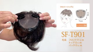 SFT901紹介動画 [upl. by Ycrem78]