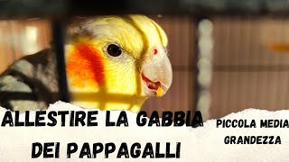 ALLESTIRE la GABBIA dei PAPPAGALLI taglia piccolamedia pappagalli [upl. by Ahsemak]