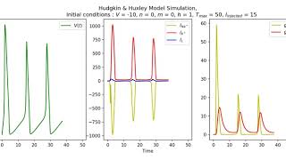 Hudgkin amp Huxley model simulation in Python [upl. by Frodeen]