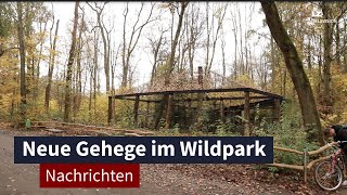 Neuer Lebensraum im Leipziger Wildpark Renovierung für Eulen und Marder I LZ TV Nachrichten [upl. by Molloy]