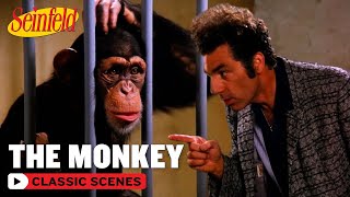 Kramer Has A Fight With A Monkey  The Face Painter  Seinfeld [upl. by Enitsej610]