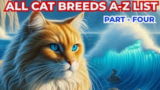 Cat Breeds Guide A  Z List  PART  4 catbreeds cats [upl. by Eiramana773]