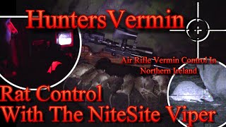 Air Rifle Hunting Rat Control With The NiteSite Viper [upl. by Tuesday638]